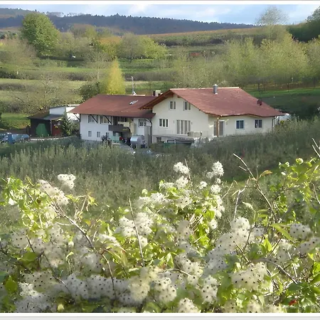 Weingut Ringwald Appartement
