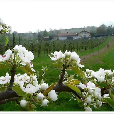 아파트 Weingut Ringwald 헤르볼츠하임