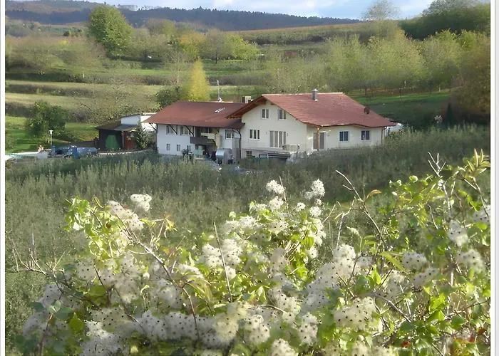 Weingut Ringwald Lägenhet